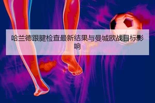 img_1780438423842_5_1_967.jpg